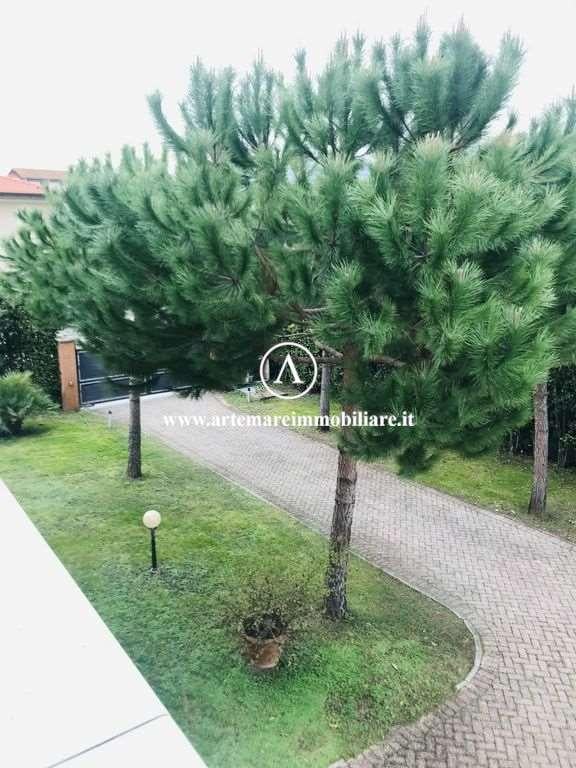 casa indipendente in affitto a Forte dei Marmi