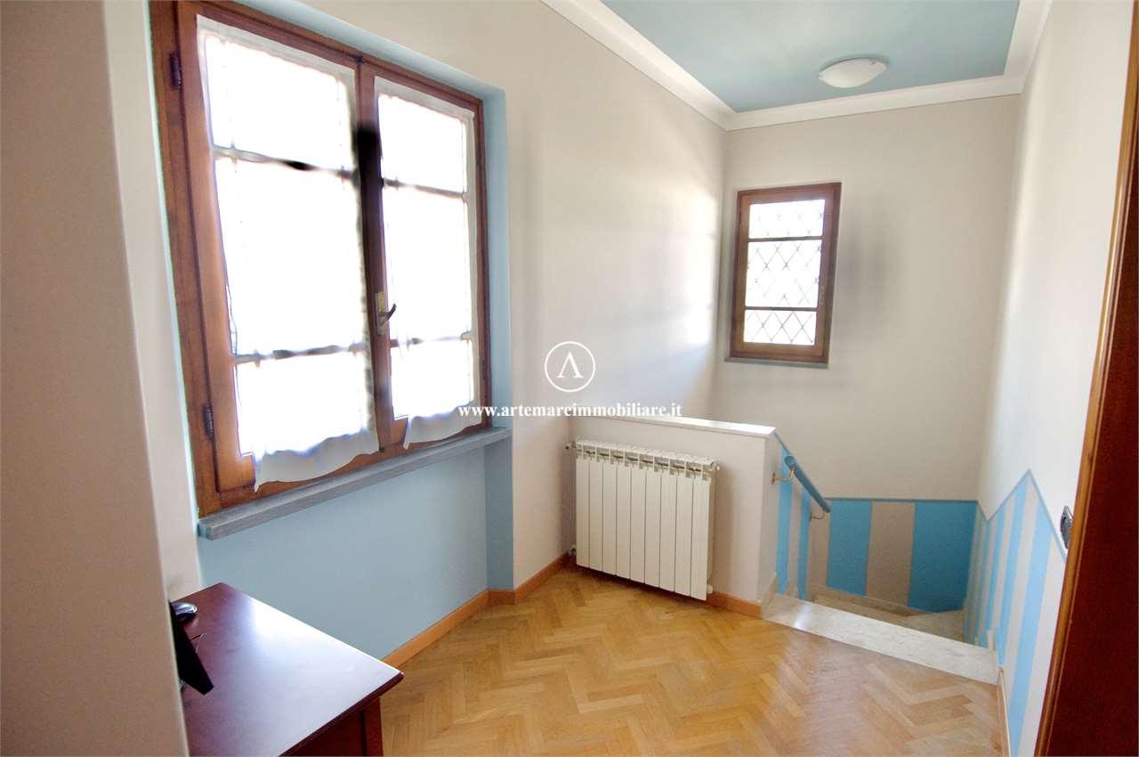 casa indipendente in affitto a Forte dei Marmi