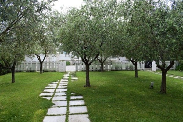 casa indipendente in affitto a Forte dei Marmi