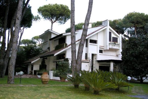 casa indipendente in affitto a Forte dei Marmi in zona Vittoria Apuana