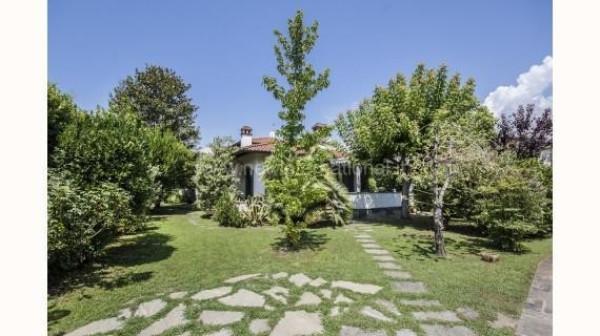 casa indipendente in affitto a Forte dei Marmi