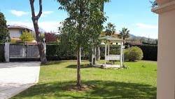 casa indipendente in affitto a Forte dei Marmi