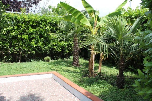 casa indipendente in affitto a Forte dei Marmi