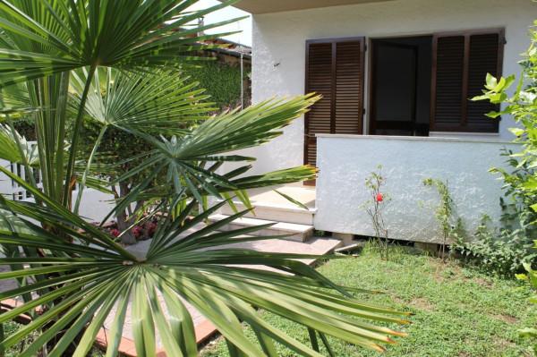 casa indipendente in affitto a Forte dei Marmi