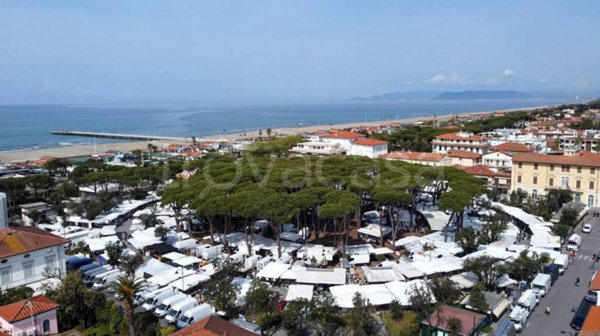 casa indipendente in affitto a Forte dei Marmi