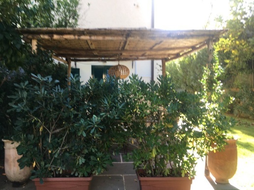 appartamento in affitto a Forte dei Marmi in zona Roma Imperiale