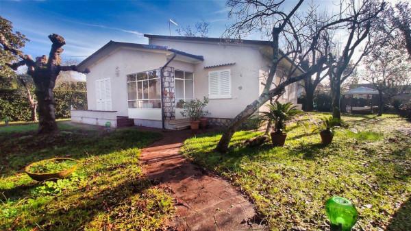 casa indipendente in affitto a Forte dei Marmi