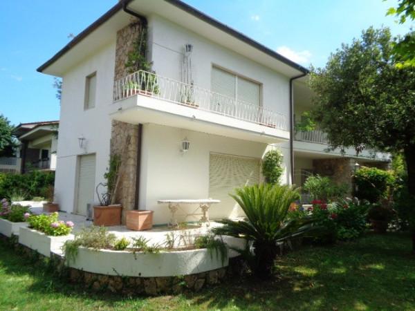 casa indipendente in affitto a Forte dei Marmi