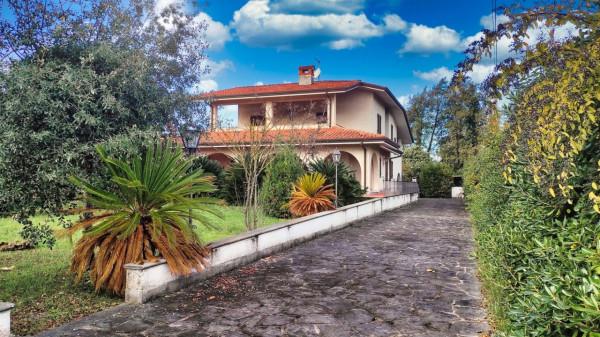 casa indipendente in affitto a Forte dei Marmi