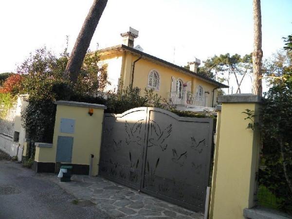 casa indipendente in affitto a Forte dei Marmi