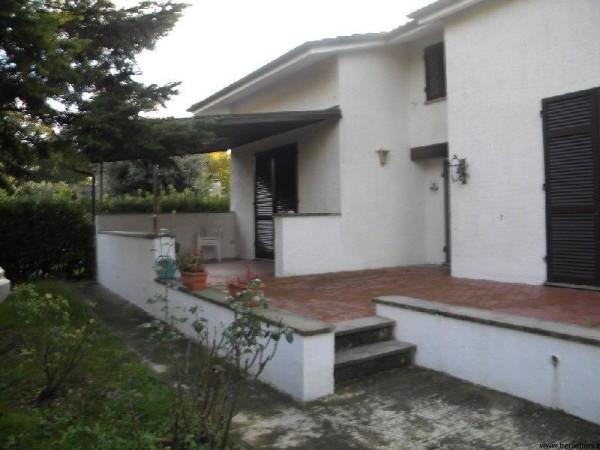 casa indipendente in affitto a Forte dei Marmi
