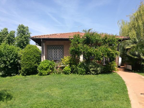 casa indipendente in affitto a Forte dei Marmi