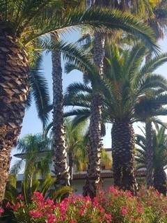 casa indipendente in affitto a Forte dei Marmi