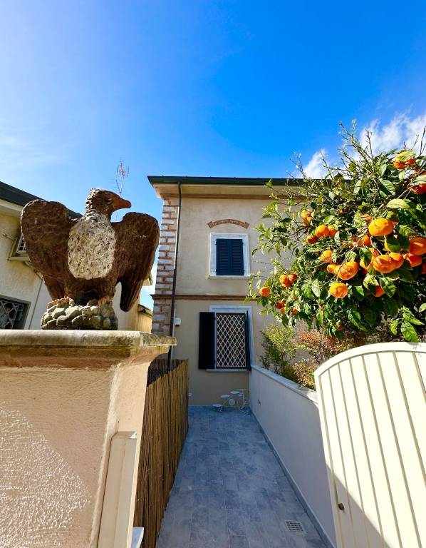 casa indipendente in affitto a Forte dei Marmi