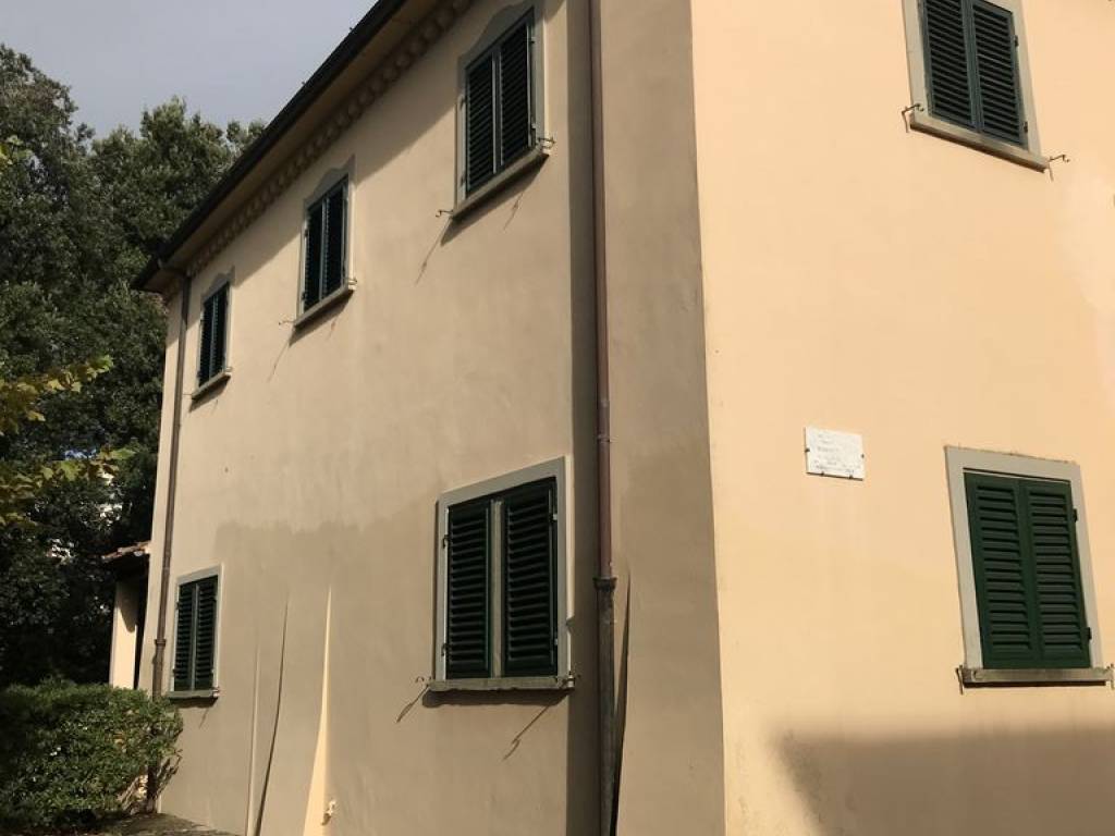 casa indipendente in affitto a Forte dei Marmi