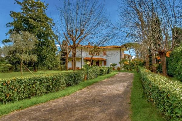 casa indipendente in affitto a Forte dei Marmi