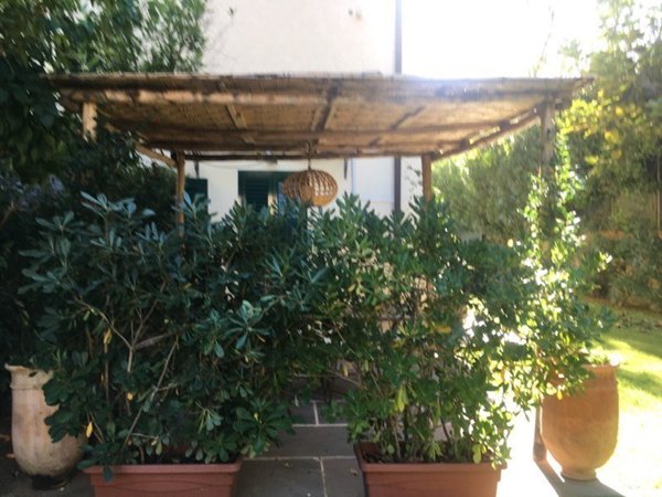 appartamento in affitto a Forte dei Marmi