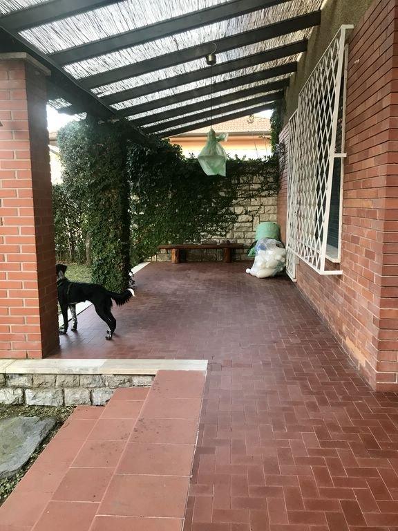 casa indipendente in affitto a Forte dei Marmi