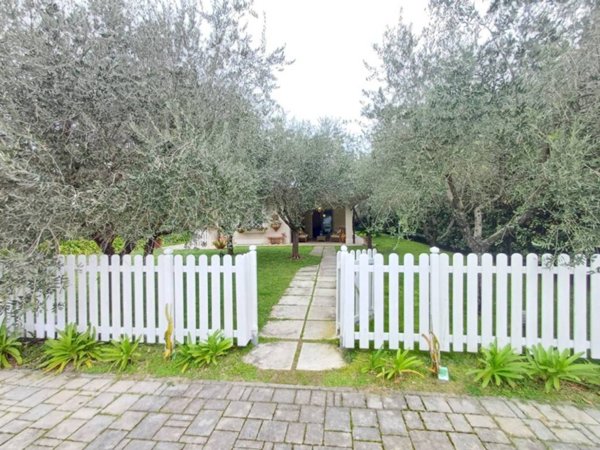 casa indipendente in affitto a Forte dei Marmi