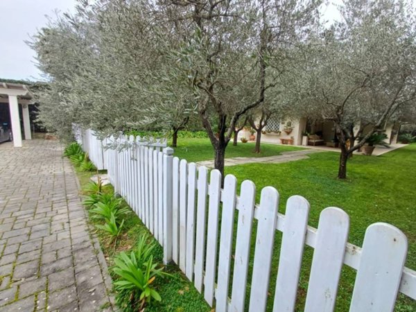 casa indipendente in affitto a Forte dei Marmi