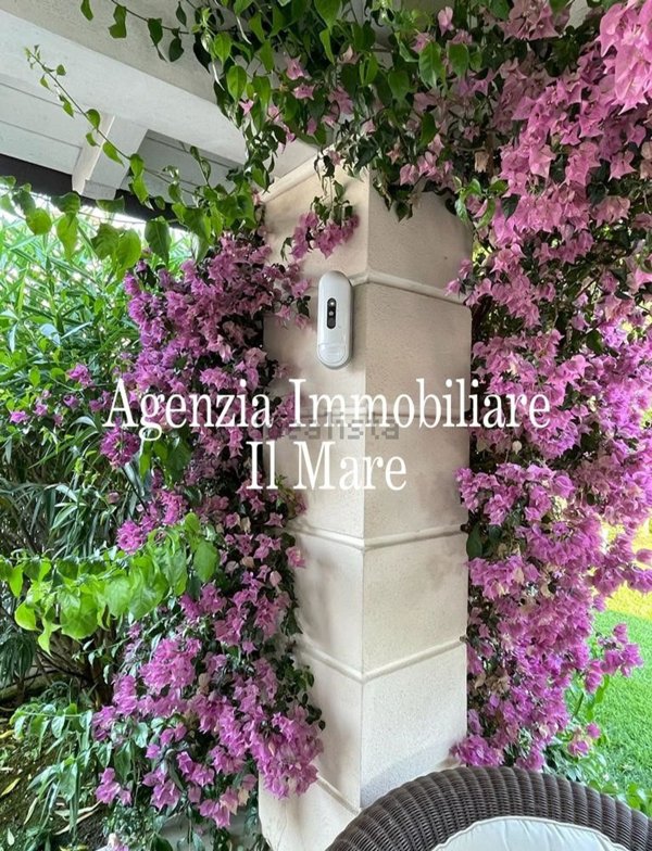casa indipendente in affitto a Forte dei Marmi