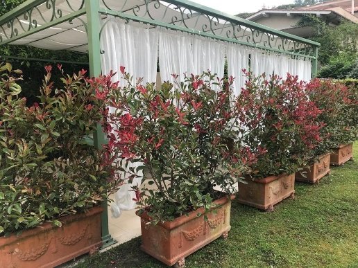 appartamento in affitto a Forte dei Marmi in zona Roma Imperiale