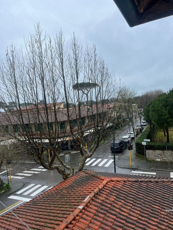 appartamento in affitto a Forte dei Marmi