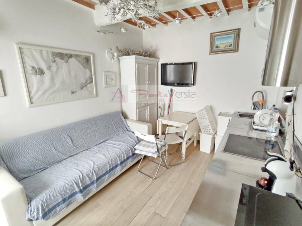 appartamento in affitto a Forte dei Marmi