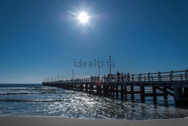 casa indipendente in affitto a Forte dei Marmi