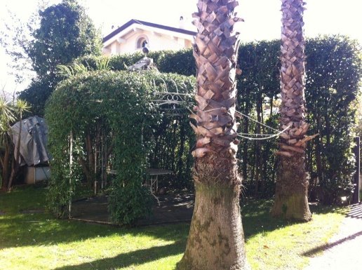 casa indipendente in affitto a Forte dei Marmi in zona Roma Imperiale