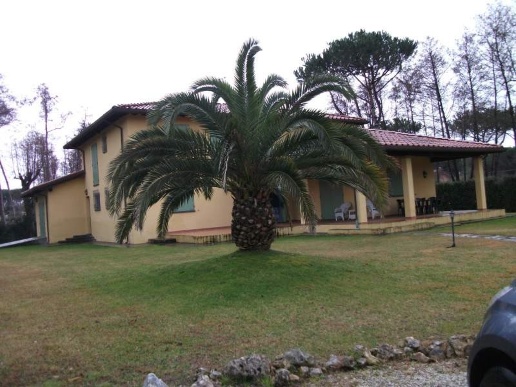 casa indipendente in affitto a Forte dei Marmi in zona Roma Imperiale