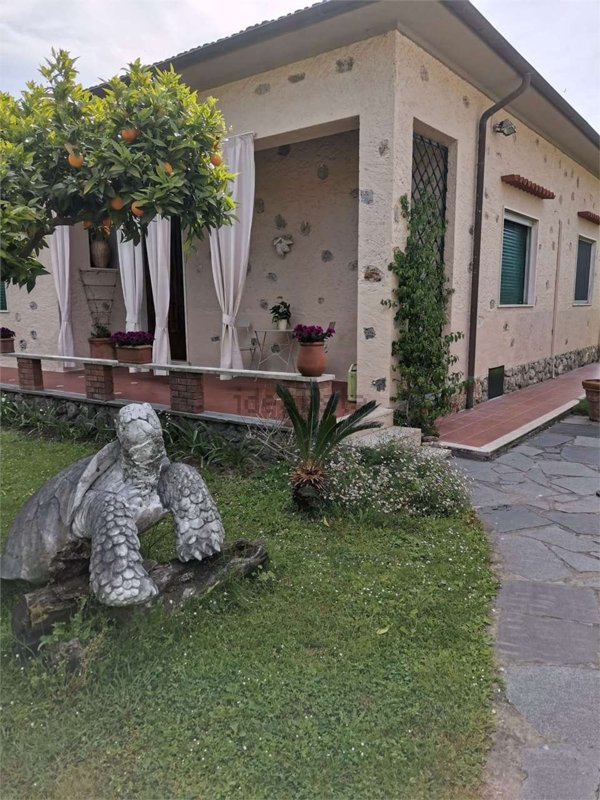 casa indipendente in affitto a Forte dei Marmi in zona Vittoria Apuana