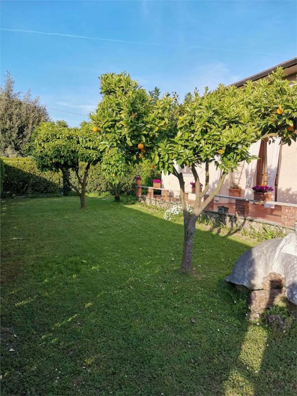 casa indipendente in affitto a Forte dei Marmi in zona Vittoria Apuana