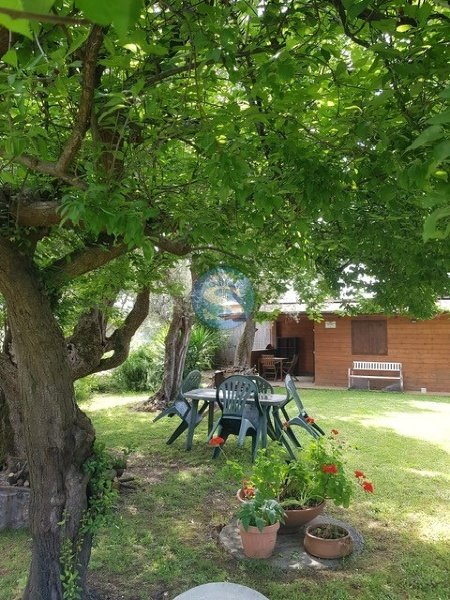 casa indipendente in affitto a Forte dei Marmi