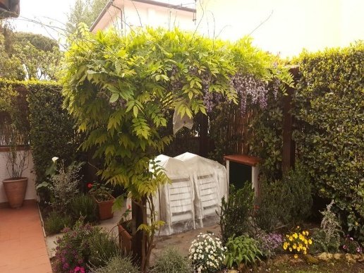 casa indipendente in affitto a Forte dei Marmi
