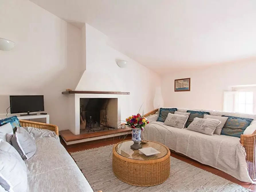 immagine annuncio 0 di 1