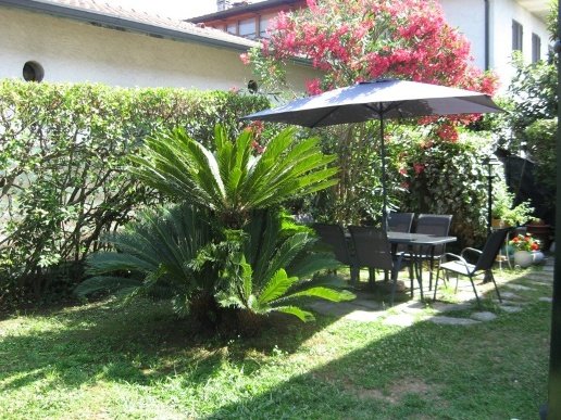 casa indipendente in affitto a Forte dei Marmi