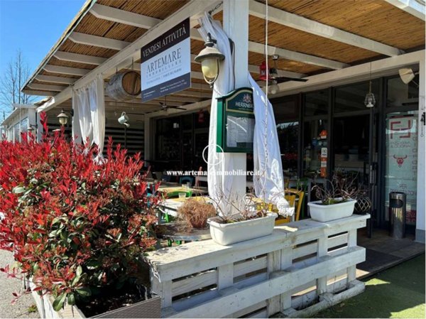 negozio in affitto a Forte dei Marmi
