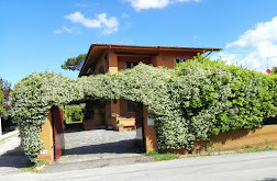 casa indipendente in affitto a Forte dei Marmi