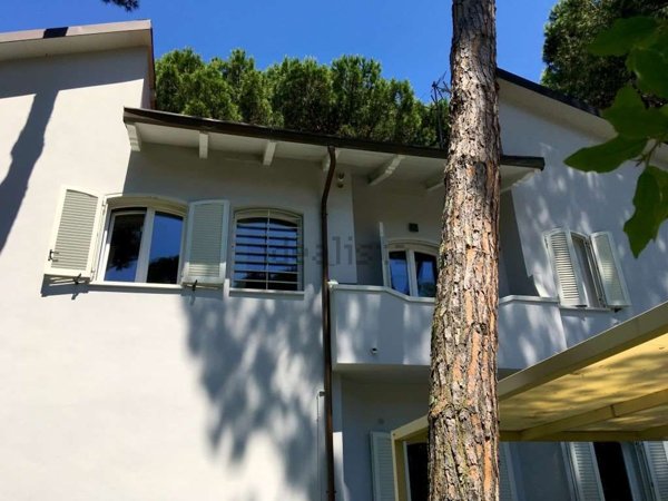 casa indipendente in affitto a Forte dei Marmi in zona Vittoria Apuana