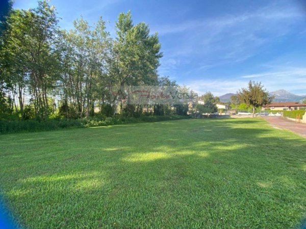 casa indipendente in affitto a Forte dei Marmi