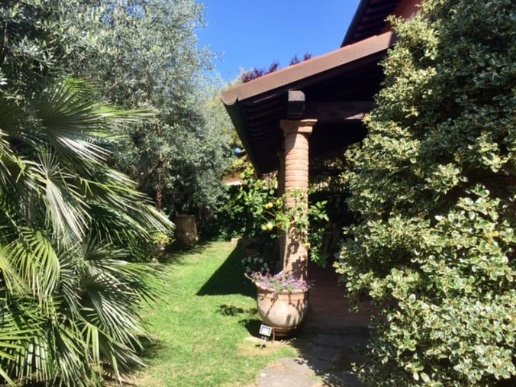 casa indipendente in affitto a Forte dei Marmi