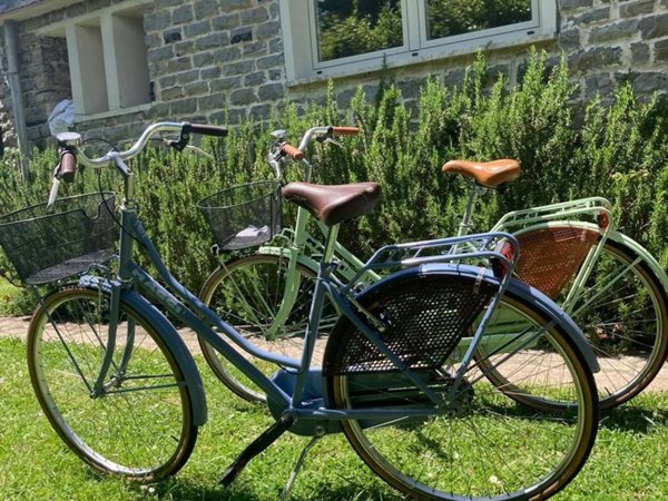 casa indipendente in affitto a Forte dei Marmi in zona Vittoria Apuana