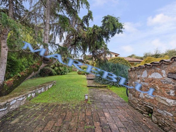casa indipendente in affitto a Forte dei Marmi