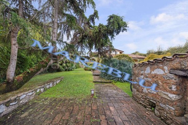 casa indipendente in affitto a Forte dei Marmi