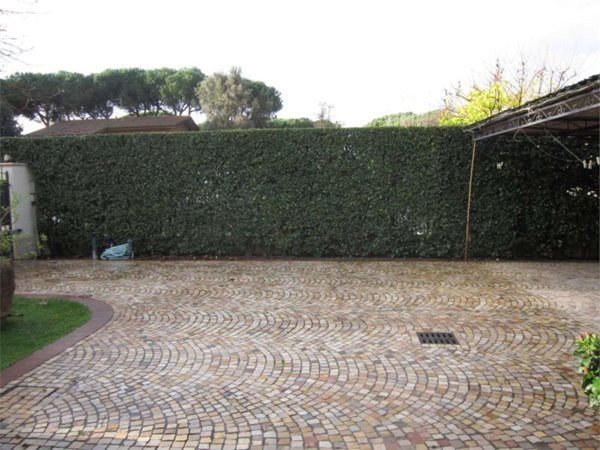 casa indipendente in affitto a Forte dei Marmi in zona Vittoria Apuana