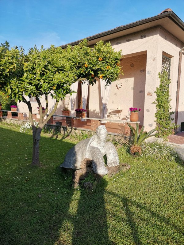 casa indipendente in affitto a Forte dei Marmi