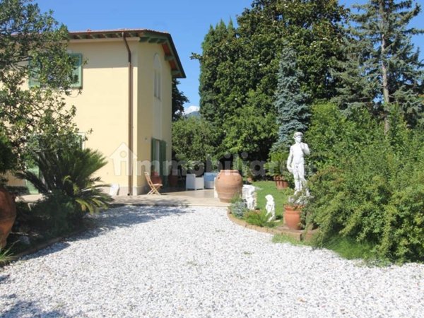 casa indipendente in affitto a Forte dei Marmi