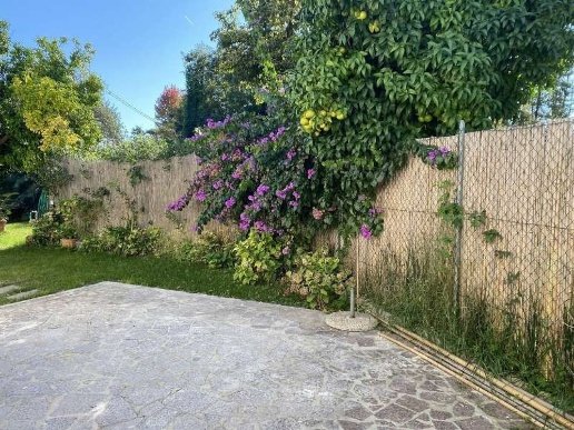 casa indipendente in affitto a Forte dei Marmi