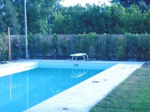 casa indipendente in affitto a Forte dei Marmi